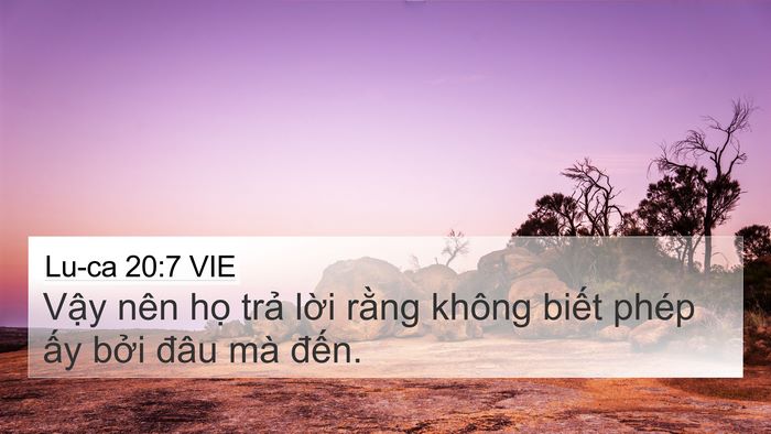 Lu-ca 20:7 VIE 4K Wallpaper - Vậy nên họ trả lời rằng không biết - 4K Wallpaper Bible Verse