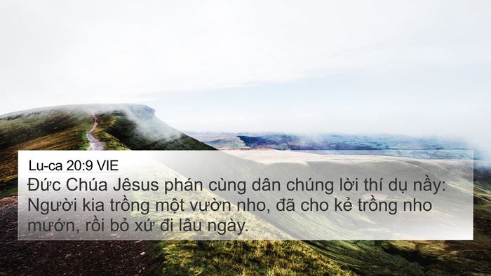 Lu-ca 20:9 VIE Bible Verse Image