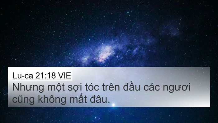 Lu-ca 21:18 VIE Bible Verse Image