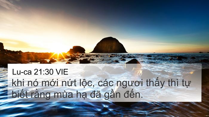 Lu-ca 21:30 VIE Bible Verse Image