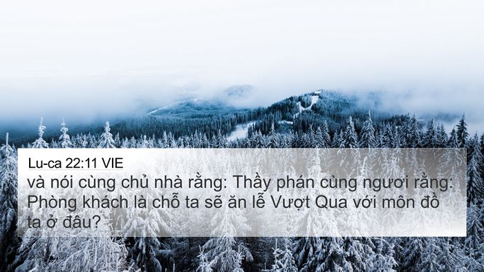 Lu-ca 22:11 VIE 4K Wallpaper - và nói cùng chủ nhà rằng: Thầy phán - 4K Wallpaper Bible Verse