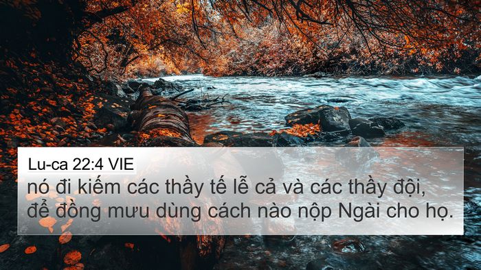 Lu-ca 22:4 VIE 4K Wallpaper - nó đi kiếm các thầy tế lễ cả và - 4K Wallpaper Bible Verse