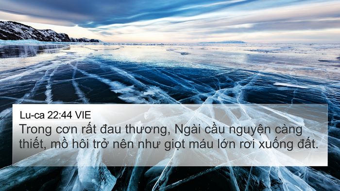 Lu-ca 22:44 VIE Bible Verse Image