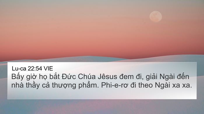 Lu-ca 22:54 VIE Bible Verse Image