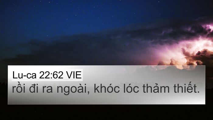 Lu-ca 22:62 VIE 4K Wallpaper - rồi đi ra ngoài, khóc lóc thảm - 4K Wallpaper Bible Verse