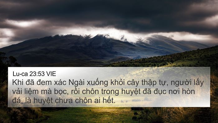 Lu-ca 23:53 VIE 4K Wallpaper - Khi đã đem xác Ngài xuống khỏi cây - 4K Wallpaper Bible Verse