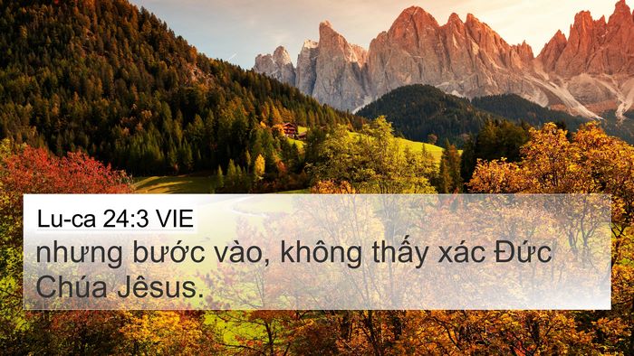 Lu-ca 24:3 VIE 4K Wallpaper - nhưng bước vào, không thấy xác Đức - 4K Wallpaper Bible Verse