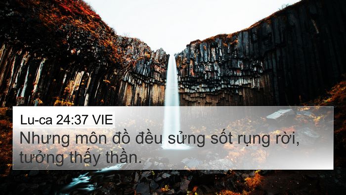 Lu-ca 24:37 VIE Bible Verse Image