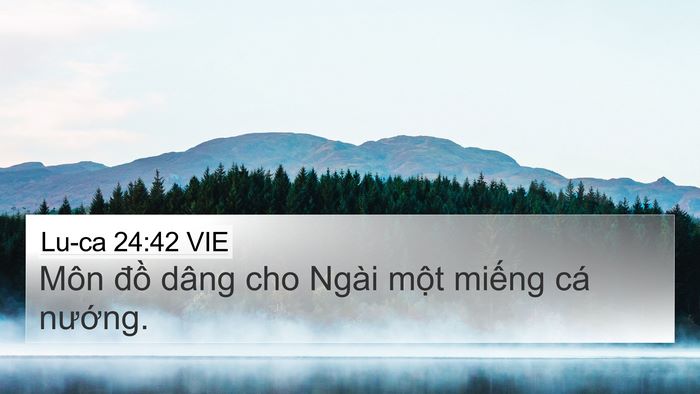 Lu-ca 24:42 VIE 4K Wallpaper - Môn đồ dâng cho Ngài một miếng cá - 4K Wallpaper Bible Verse