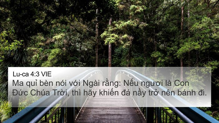 Lu-ca 4:3 VIE Bible Verse Image