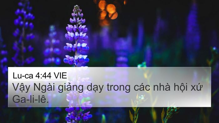 Lu-ca 4:44 VIE Bible Verse Image
