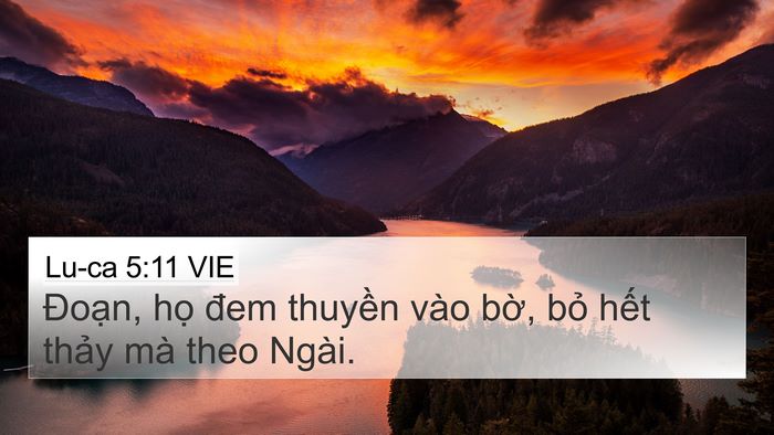 Lu-ca 5:11 VIE Bible Verse Image