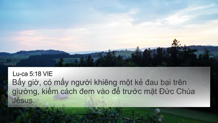 Lu-ca 5:18 VIE Bible Verse Image