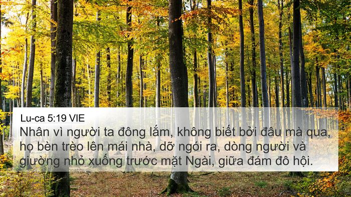 Lu-ca 5:19 VIE Bible Verse Image