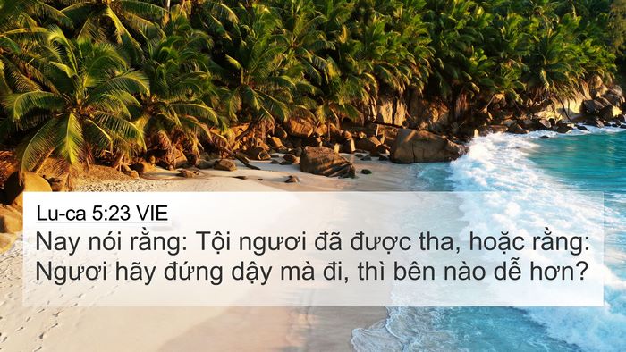 Lu-ca 5:23 VIE 4K Wallpaper - Nay nói rằng: Tội ngươi đã được tha, - 4K Wallpaper Bible Verse