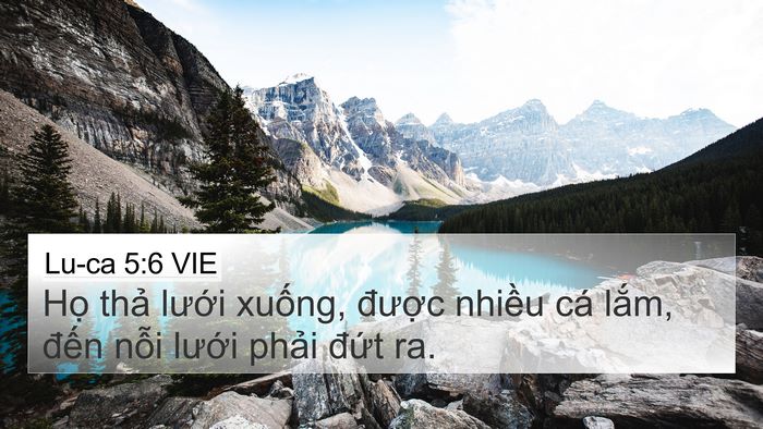 Lu-ca 5:6 VIE 4K Wallpaper - Họ thả lưới xuống, được nhiều cá - 4K Wallpaper Bible Verse