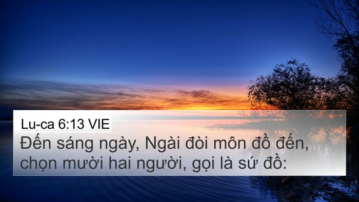 Lu-ca 6:13 VIE Bible Verse Image