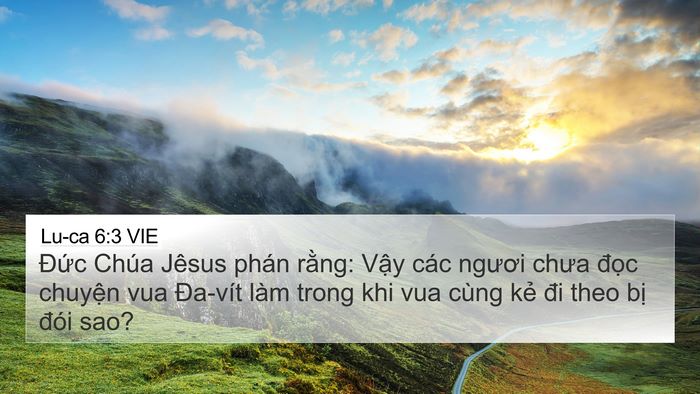 Lu-ca 6:3 VIE Bible Verse Image