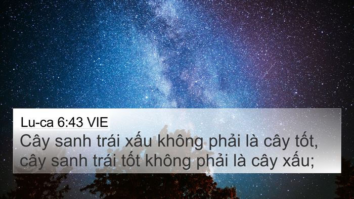 Lu-ca 6:43 VIE Bible Verse Image