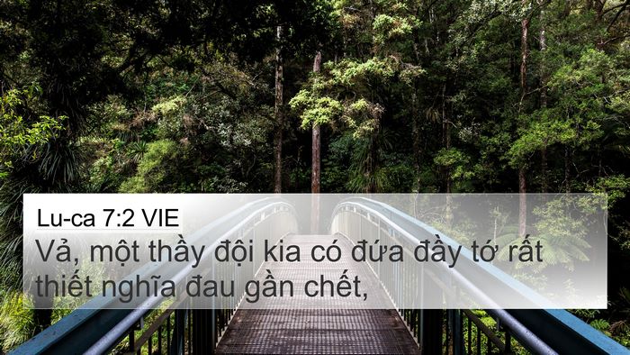 Lu-ca 7:2 VIE Bible Verse Image