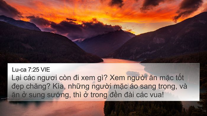 Lu-ca 7:25 VIE 4K Wallpaper - Lại các ngươi còn đi xem gì? Xem người - 4K Wallpaper Bible Verse