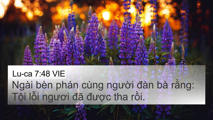 Lu-ca 7:48 VIE 4K Wallpaper - Ngài bèn phán cùng người đàn bà rằng: - 4K Wallpaper Bible Verse