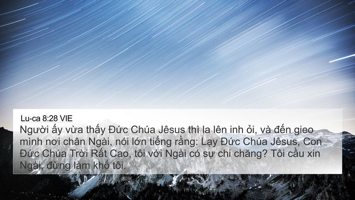 Lu-ca 8:28 VIE Bible Verse Image