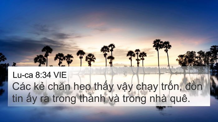 Lu-ca 8:34 VIE Bible Verse Image