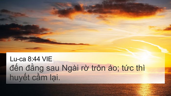 Lu-ca 8:44 VIE Bible Verse Image