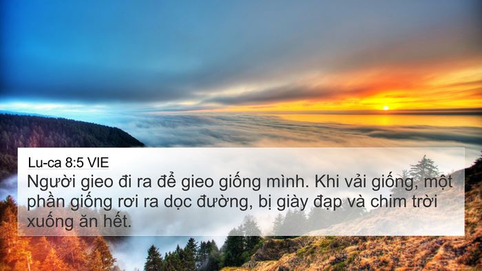 Lu-ca 8:5 VIE Bible Verse Image