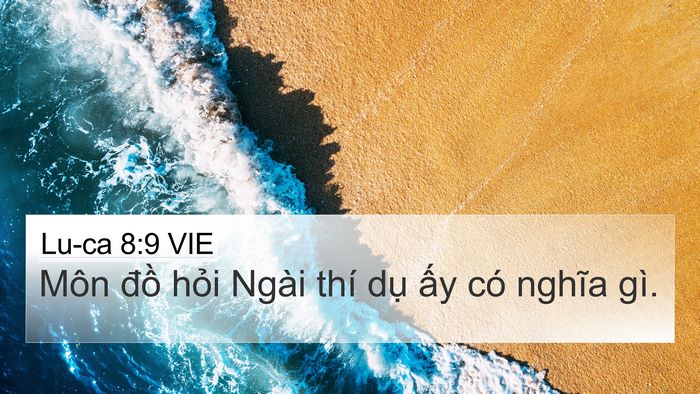 Lu-ca 8:9 VIE 4K Wallpaper - Môn đồ hỏi Ngài thí dụ ấy có nghĩa - 4K Wallpaper Bible Verse