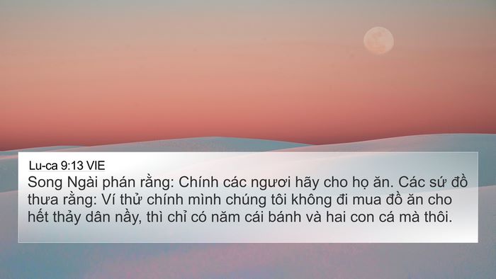 Lu-ca 9:13 VIE Bible Verse Image