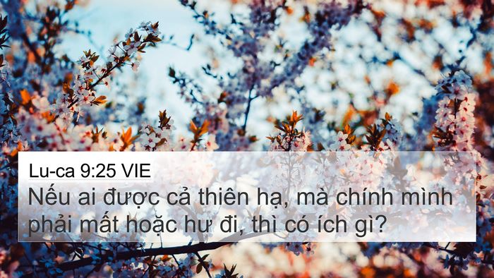 Lu-ca 9:25 VIE Bible Verse Image