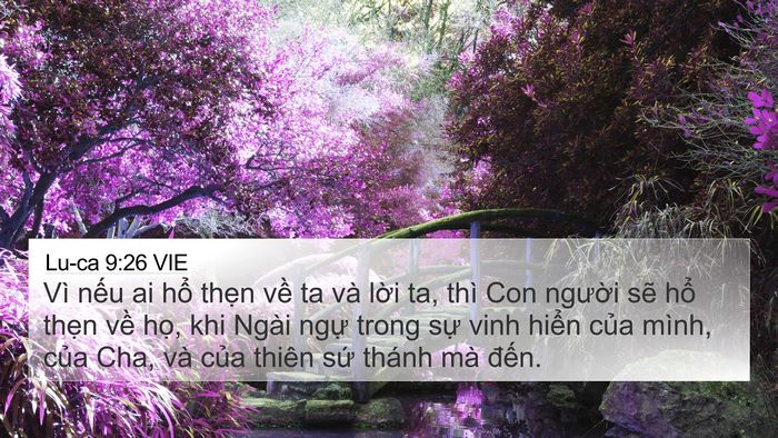 Lu-ca 9:26 VIE Bible Verse Image