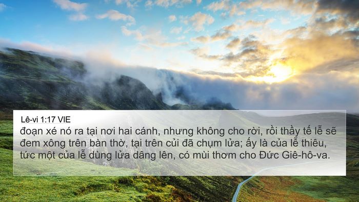 Lê-vi 1:17 VIE Bible Verse Image