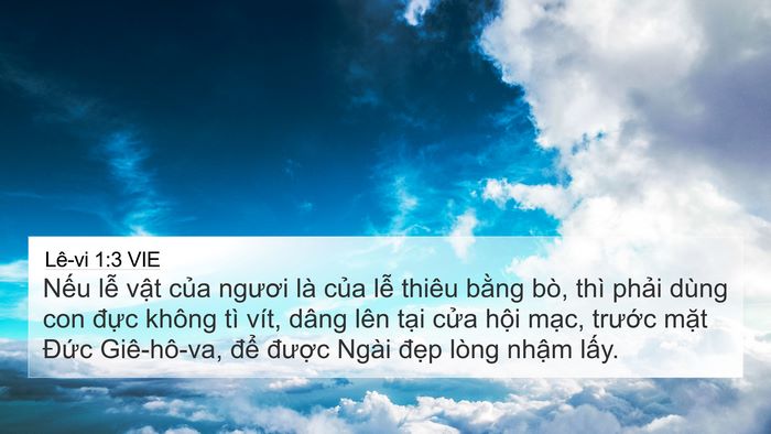 Lê-vi 1:3 VIE Bible Verse Image