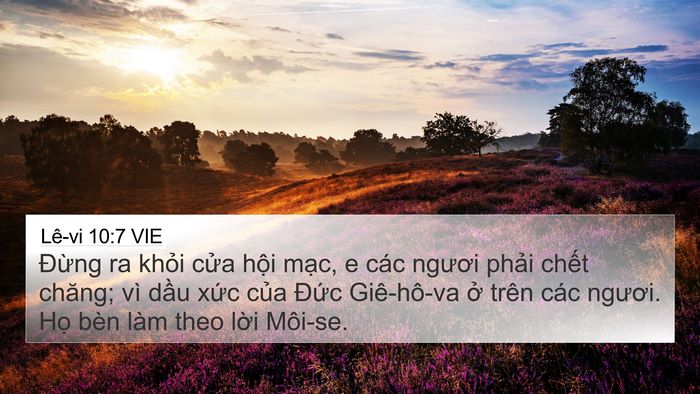 Lê-vi 10:7 VIE 4K Wallpaper - Đừng ra khỏi cửa hội mạc, e các - 4K Wallpaper Bible Verse