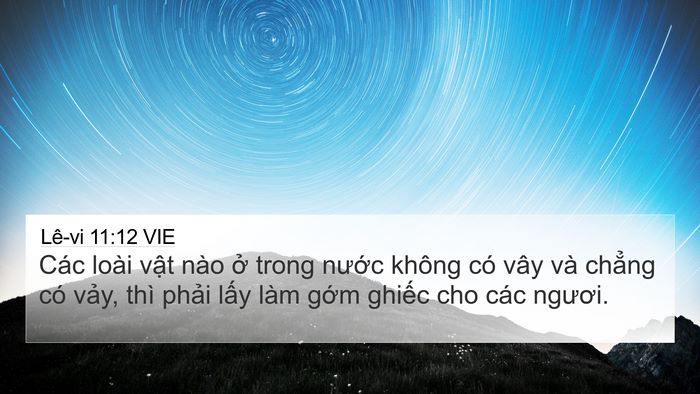 Lê-vi 11:12 VIE 4K Wallpaper - Các loài vật nào ở trong nước không - 4K Wallpaper Bible Verse
