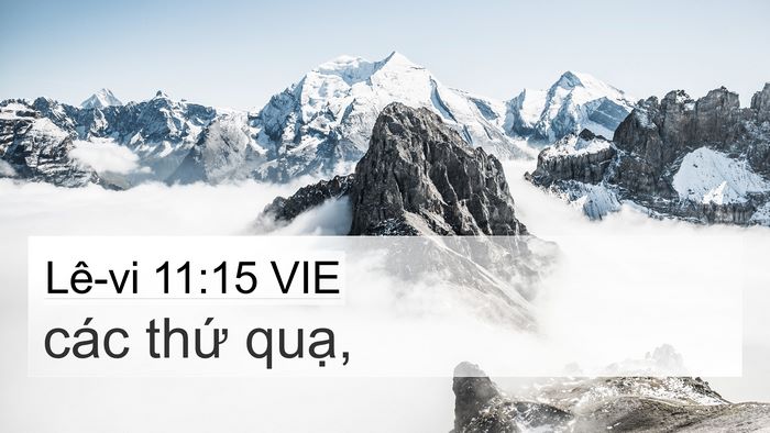 Lê-vi 11:15 VIE 4K Wallpaper - các thứ - 4K Wallpaper Bible Verse