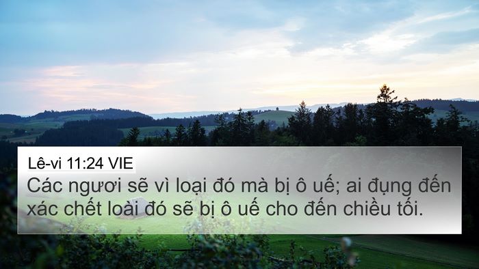 Lê-vi 11:24 VIE Bible Verse Image