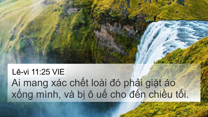 Lê-vi 11:25 VIE Bible Verse Image