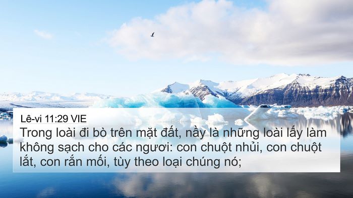 Lê-vi 11:29 VIE Bible Verse Image
