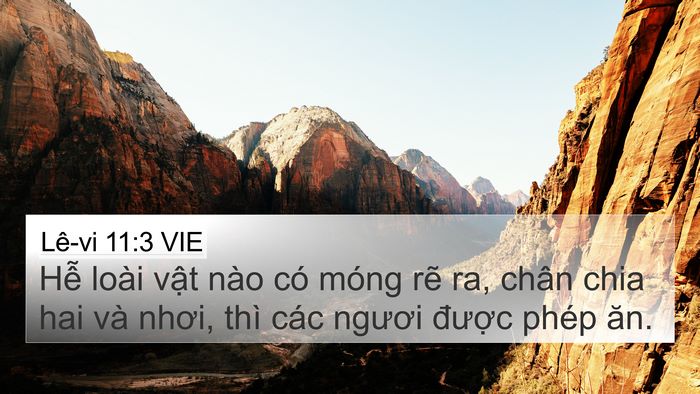 Lê-vi 11:3 VIE 4K Wallpaper - Hễ loài vật nào có móng rẽ ra, chân - 4K Wallpaper Bible Verse