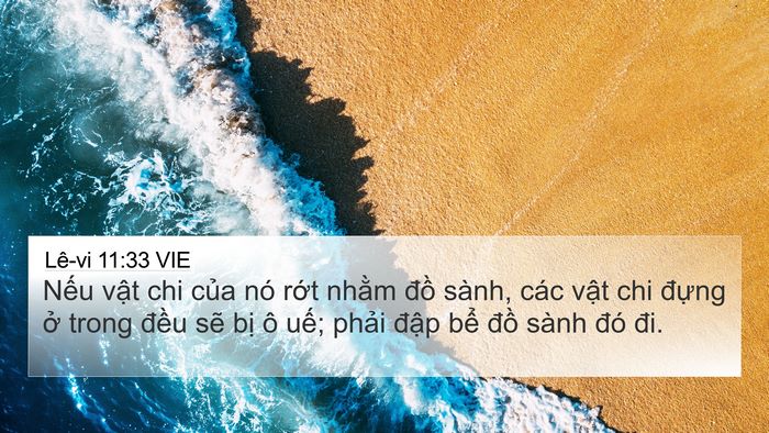 Lê-vi 11:33 VIE Bible Verse Image