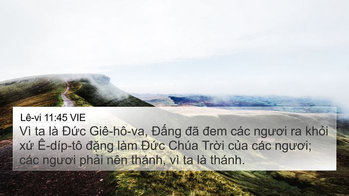 Lê-vi 11:45 VIE Bible Verse Image