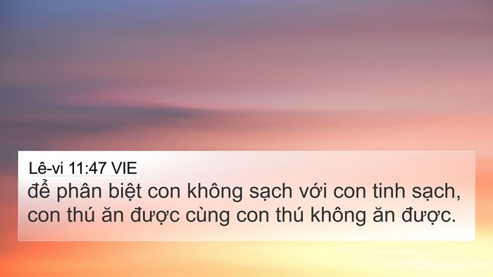Lê-vi 11:47 VIE Bible Verse Image