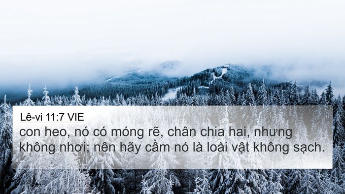Lê-vi 11:7 VIE Bible Verse Image