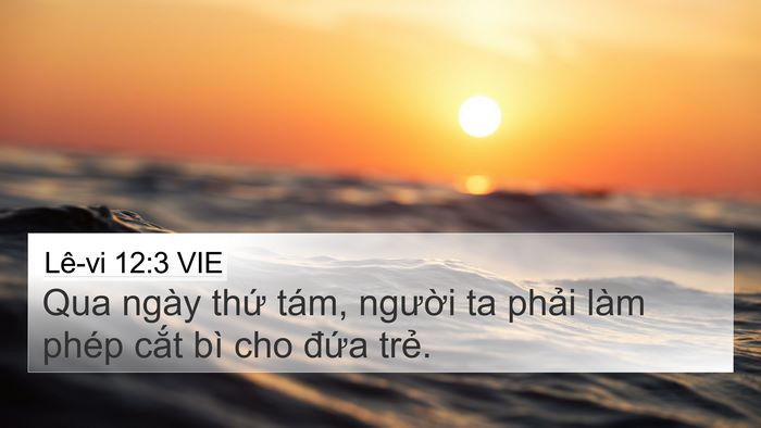 Lê-vi 12:3 VIE Bible Verse Image