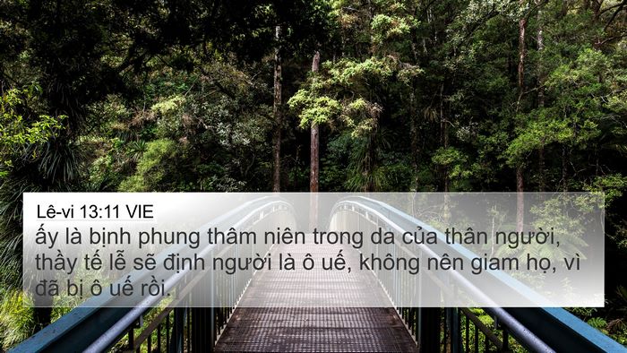 Lê-vi 13:11 VIE 4K Wallpaper - ấy là bịnh phung thâm niên trong da của - 4K Wallpaper Bible Verse