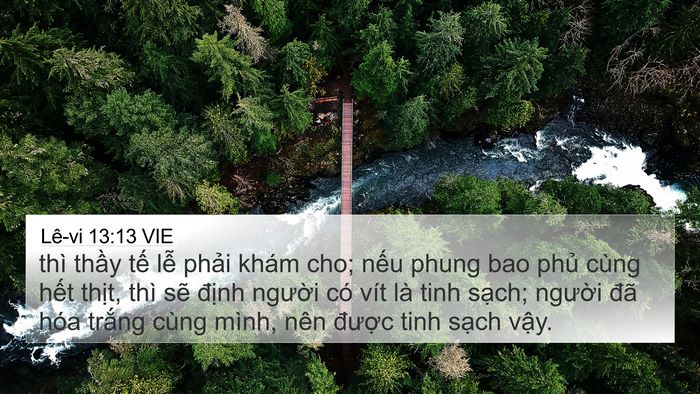 Lê-vi 13:13 VIE 4K Wallpaper - thì thầy tế lễ phải khám cho; nếu - 4K Wallpaper Bible Verse